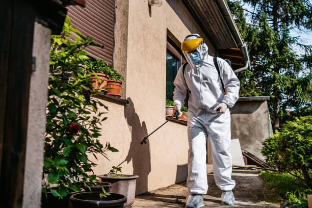 Best Local Pest Control Services  in Cheswold, DE