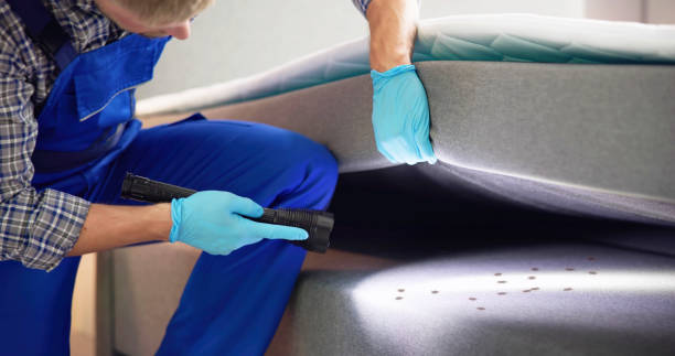 Best Wasp Removal Services  in Cheswold, DE