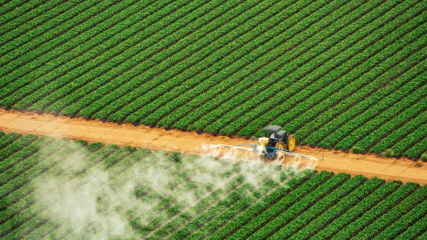 Best Ant Control Services  in Cheswold, DE
