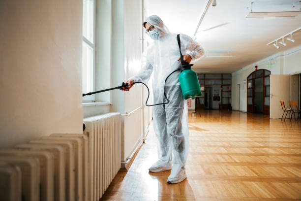 Best Wildlife Control Services  in Cheswold, DE